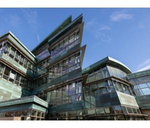 University of Iowa Institute for Vision Research University of Iowa Institute for Vision Research